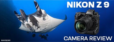 NIKON Z9: The D850 Has Met Its Match