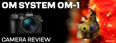 OM SYSTEM OM-1: Best Micro 4/3 Photo Camera To Date