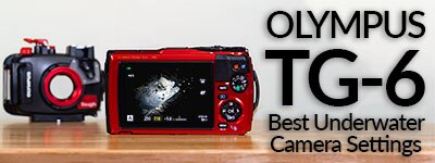 Backscatter Underwater Photography Video Backscatter