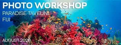 Fiji - Aug. 4-15, 2026