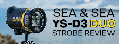 THE RC POWERHOUSE: Sea&Sea YS-D3 Duo Strobe