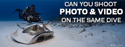 Can You Shoot Photo & Video On The Same Dive?