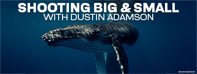 DUSTIN ADAMSON: Shooting Subjects Big & Small