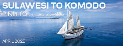 Sulawesi-Gorontalo-Wakatobi-Komodo, Indonesia - April 7-23, 2025