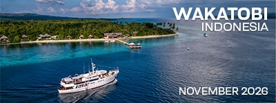 Wakatobi - Nov. 16-27, 2026