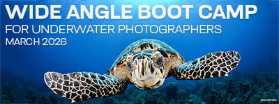 Little Cayman - March 21-28, 2026