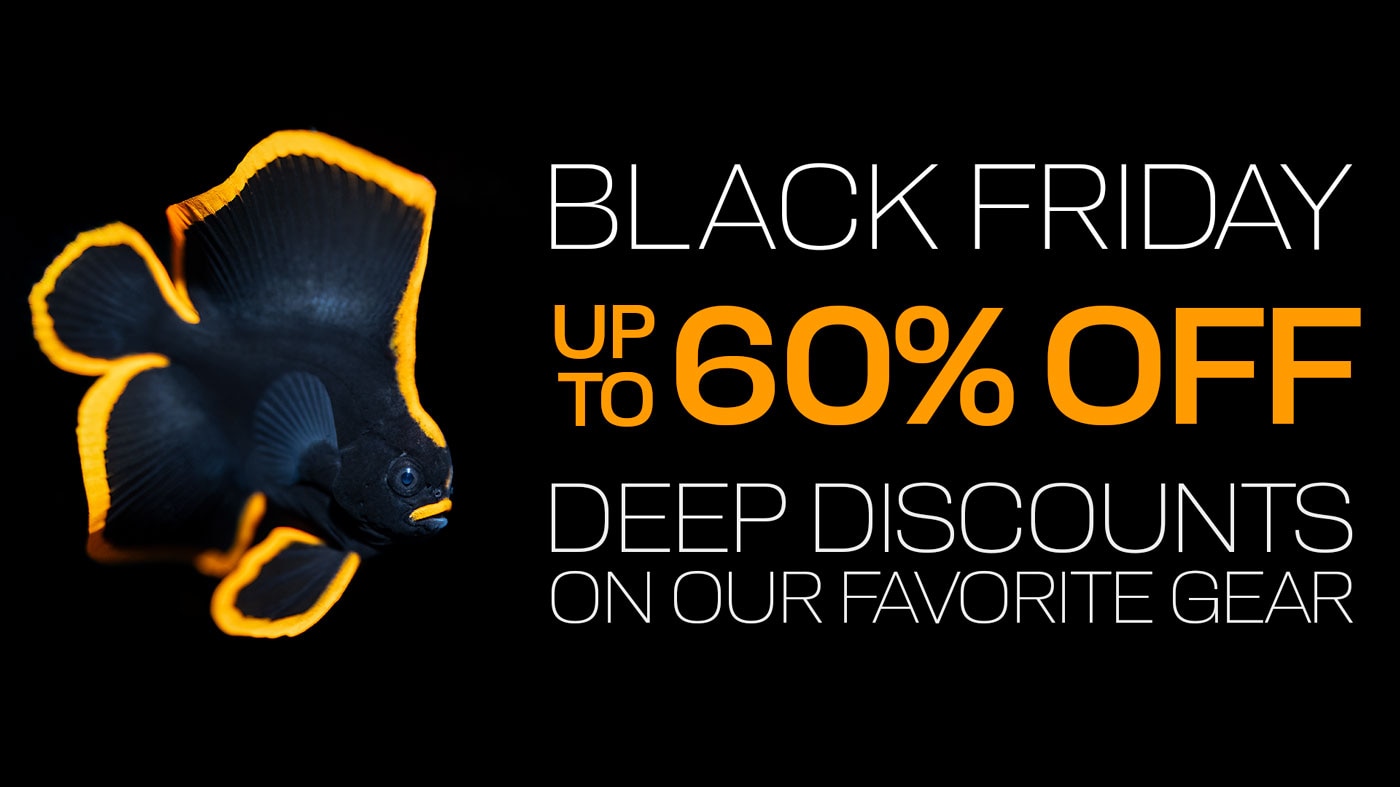 SMOKING HOT HOLIDAY DEALS 