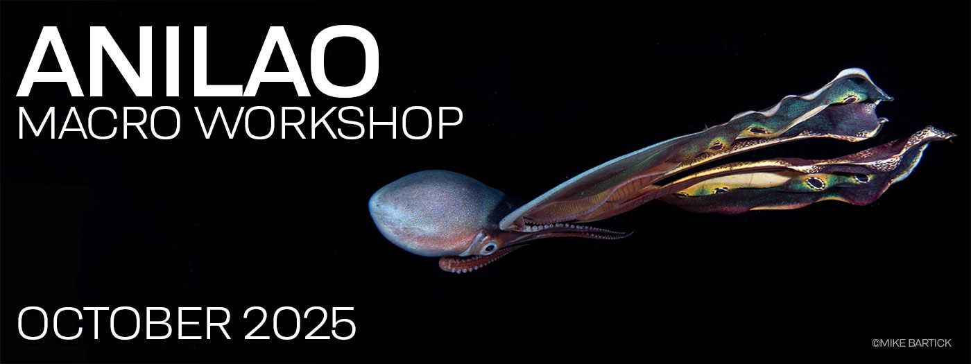 Macro & Blackwater Underwater Photography Workshops – Crystal Blue Resort – Anilao Philippines – October 12-22, 2025