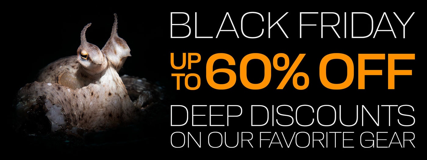 Dive Into Black Friday Deals!