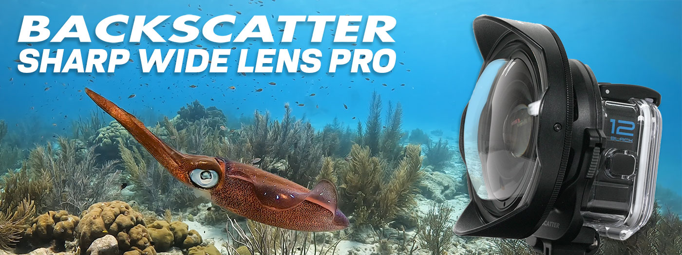 The Best Underwater GoPro Wide Angle Lens & Filter System