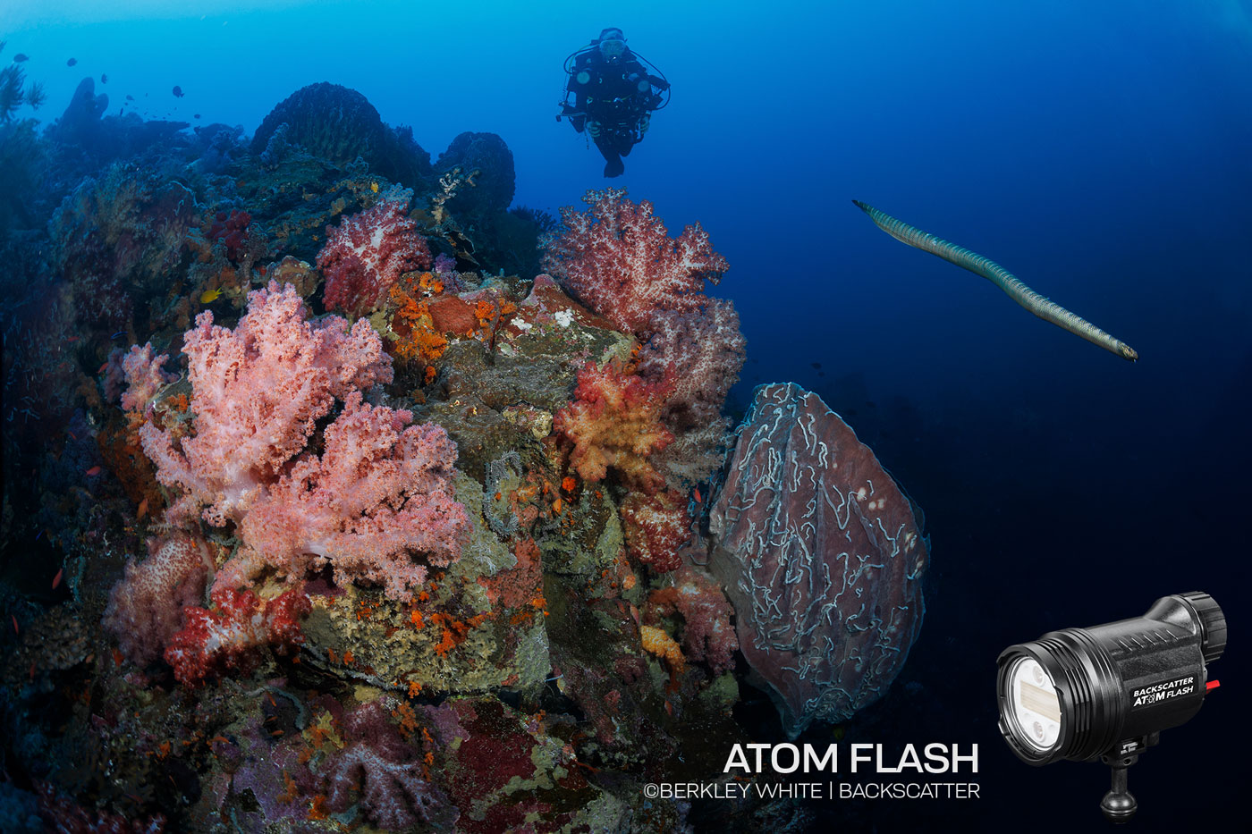 Backscatter Atom Flash Underwater Strobe Review