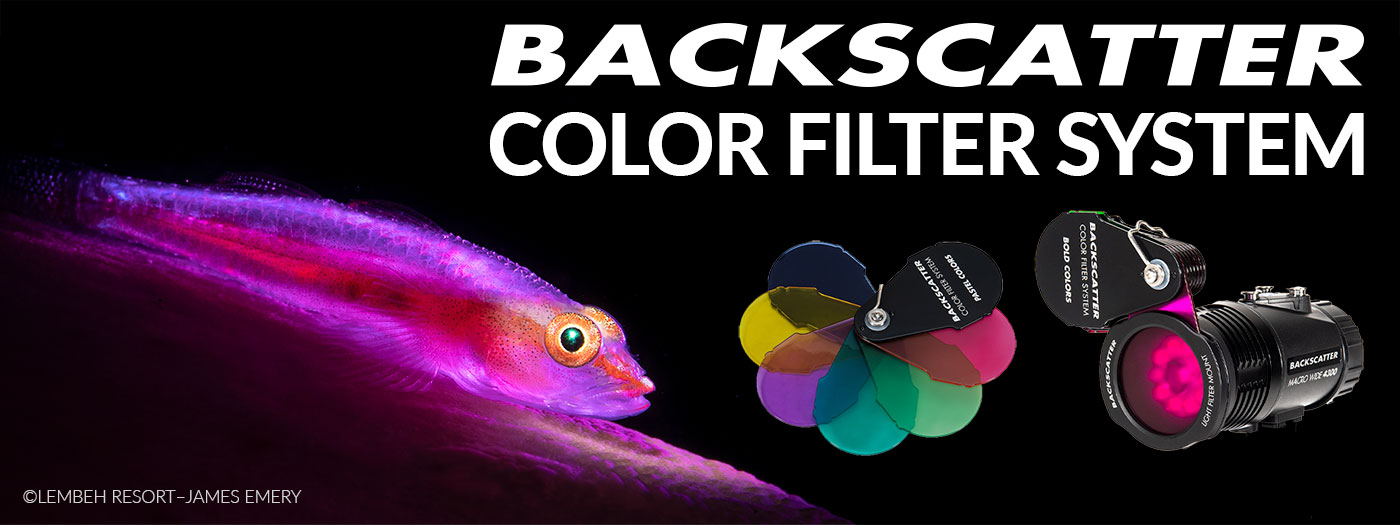 Backscatter Color Filter System—Expanding Your Creativity Underwater