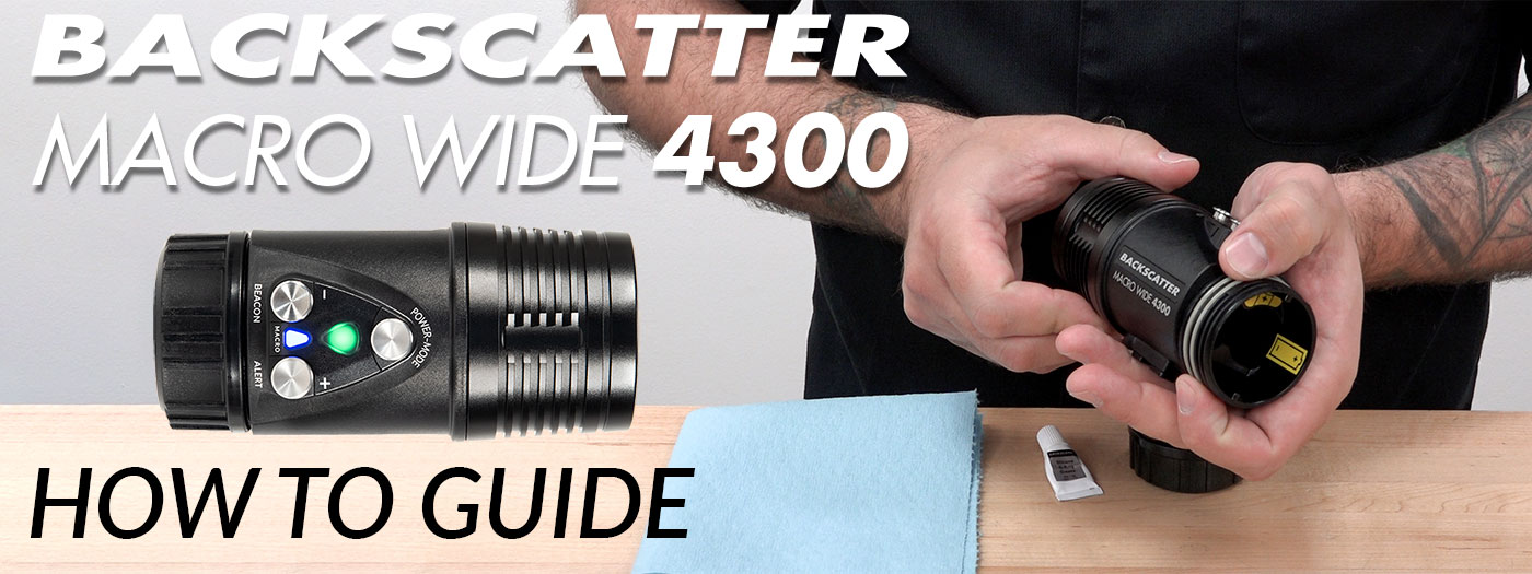 Backscatter Macro Wide 4300 – How To Guide