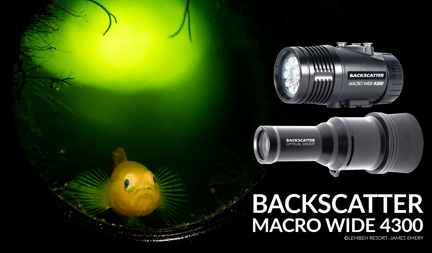 Best Underwater Video Light - The Backscatter Macro Wide 4300 Has You Covered