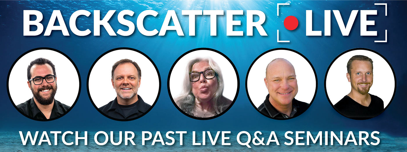 Free Live Q&A Seminars