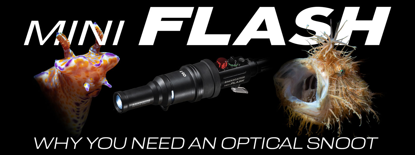 Backscatter Mini Flash Field Test—What is a Snoot and Why You Need One