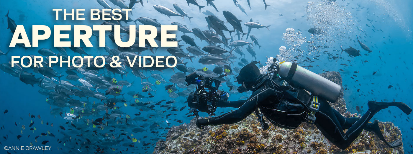 What Is The Best Aperture For Underwater Photography & Video?