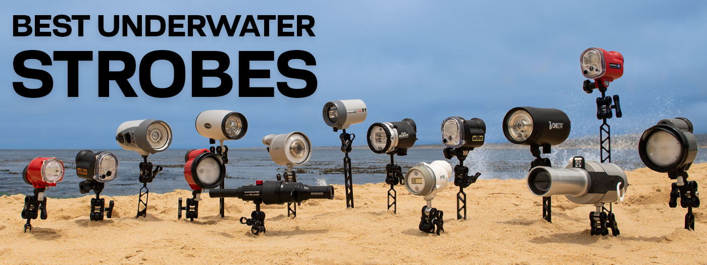 Best Underwater Lighting of 2024: Strobes & Flashes - Underwater