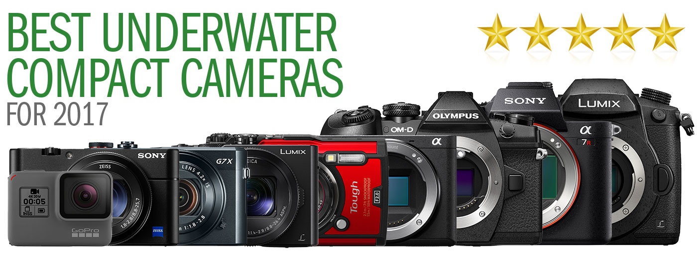 Underwater Photography Backscatter