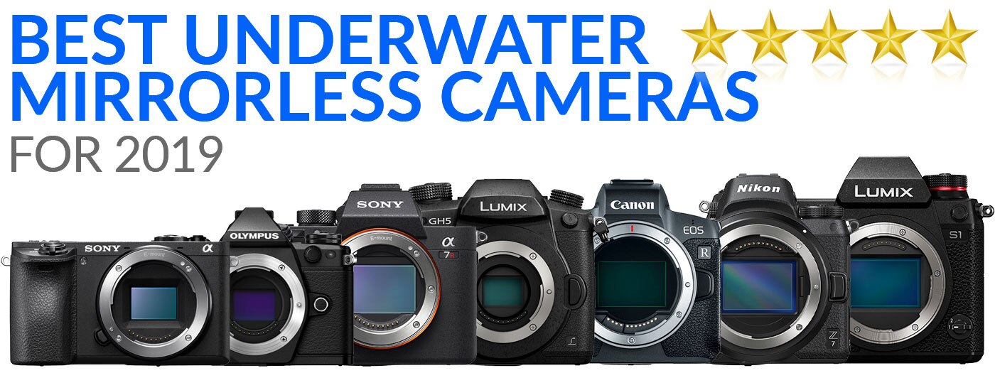 Best Underwater Cameras of 2019 Mirrorless Cameras Underwater