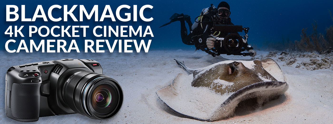 Blackmagic Design Pocket Cinema 4K - Underwater Camera Review