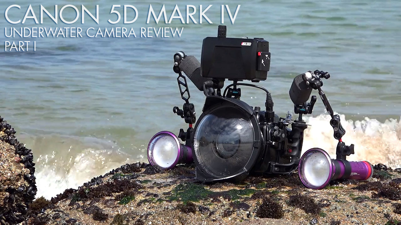 Canon 5D Mark IV Underwater Camera Review Part I