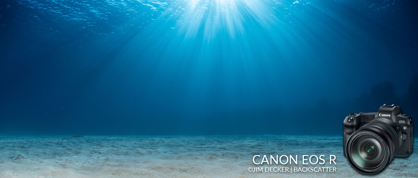 Canon EOS R Underwater Camera Review