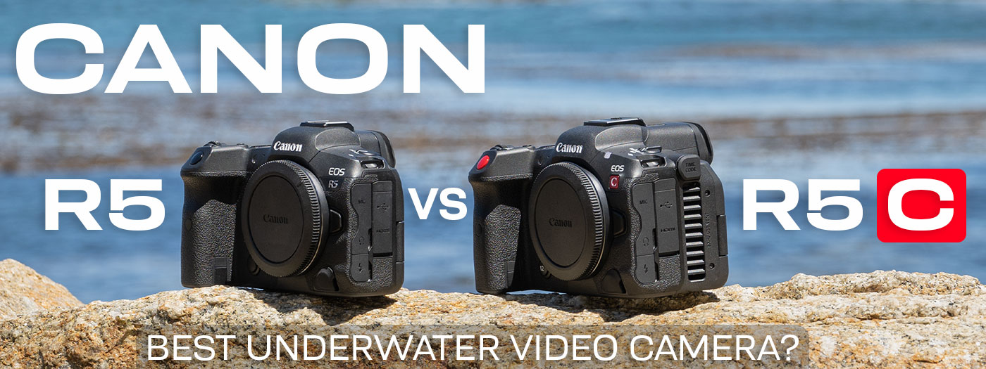 Canon R5 vs Canon R5C Underwater Review - The best underwater video camera?