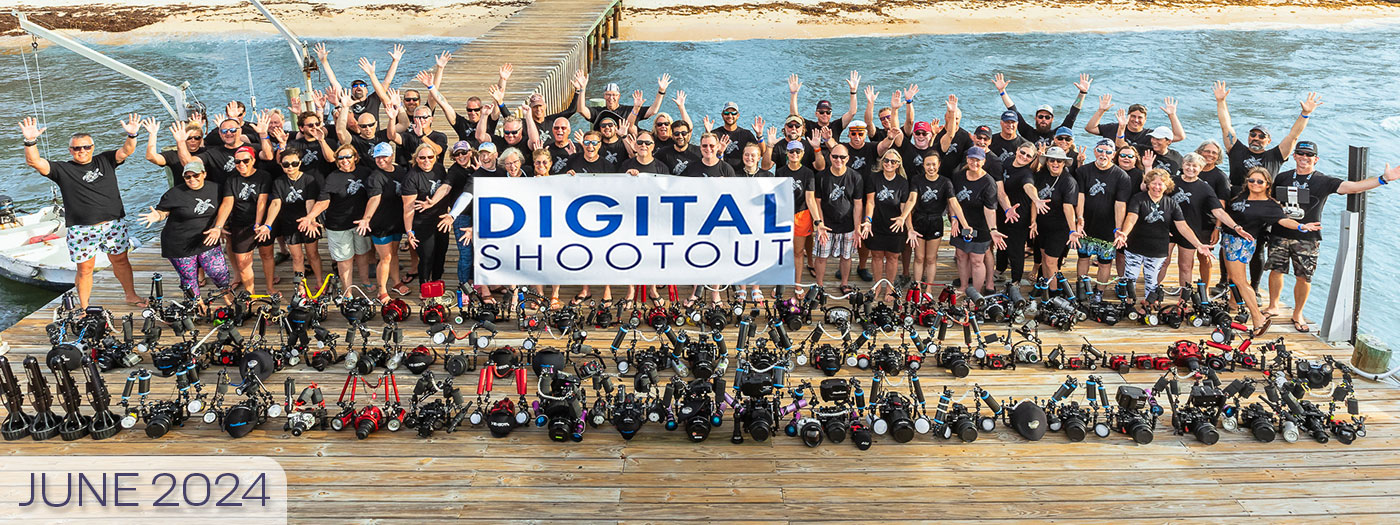 Join Us At the 2024 Digital Shootout in Little Cayman - June 15-29, 2024