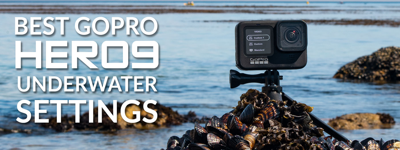 GoPro HERO 9 Best Underwater Photography Settings - Underwater Photography  - Backscatter