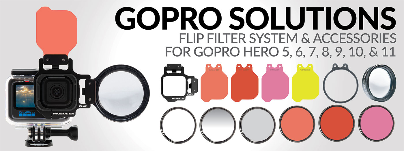 gopro underwater holder