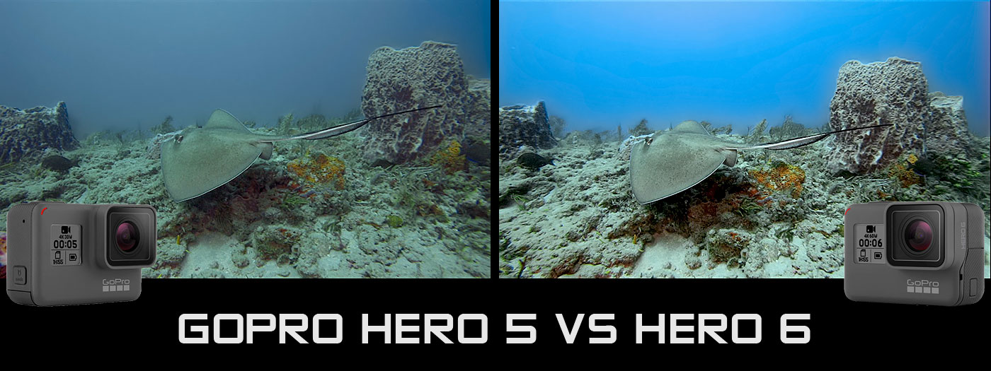 Gopro Hero 6 Vs Hero 5 Underwater Camera Review Underwater Photography Backscatter