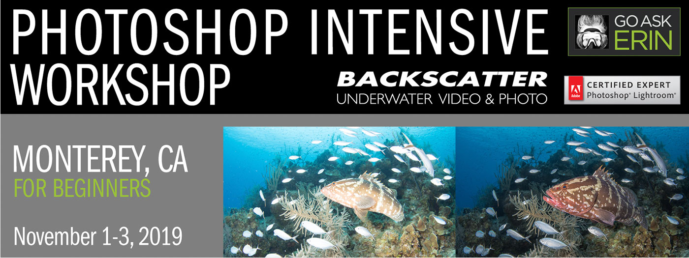 Goaskerin Intensive Photoshop For Beginners Monterey Ca