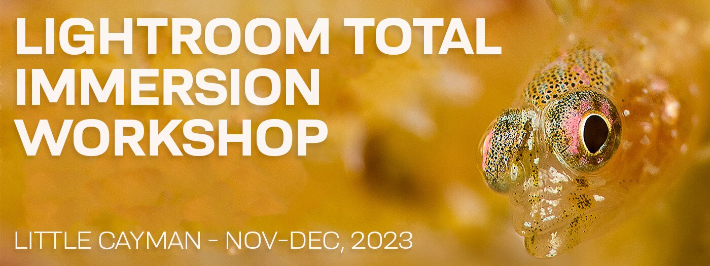 Lightroom Total Immersion Workshop - Nov 25-Dec 2 & Dec 2-9, 2023