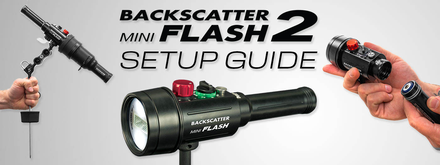 Backscatter Mini Flash 2 – How-To Guide