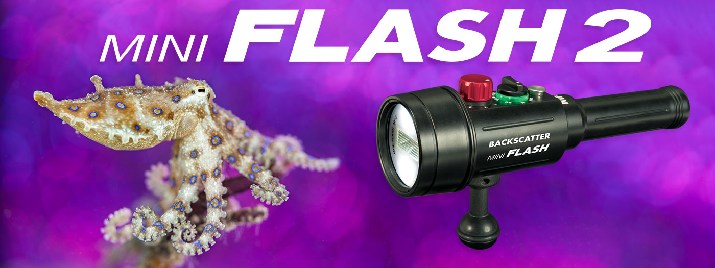 Best Underwater Compact Strobe - Backscatter Mini Flash 2