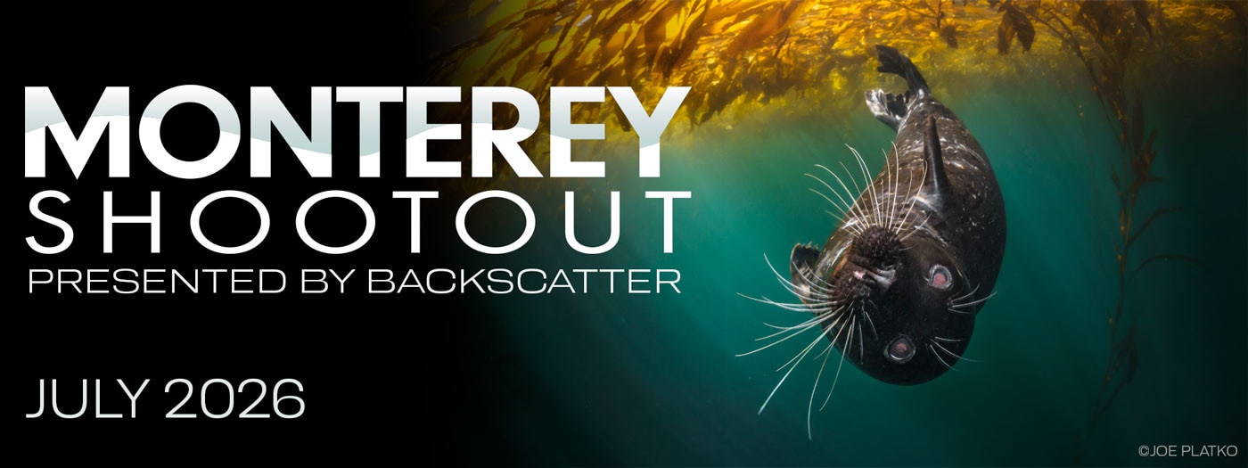 Join Us For the Monterey Shootout - July 24-26, 2026