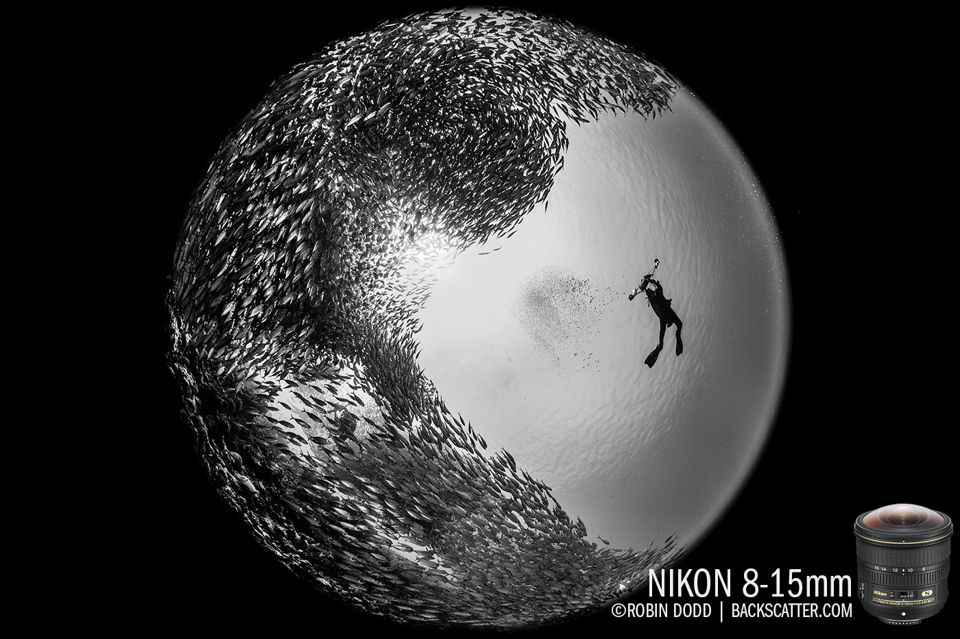 Nikon 8-15mm Circular Fisheye Lens Underwater Photography Review