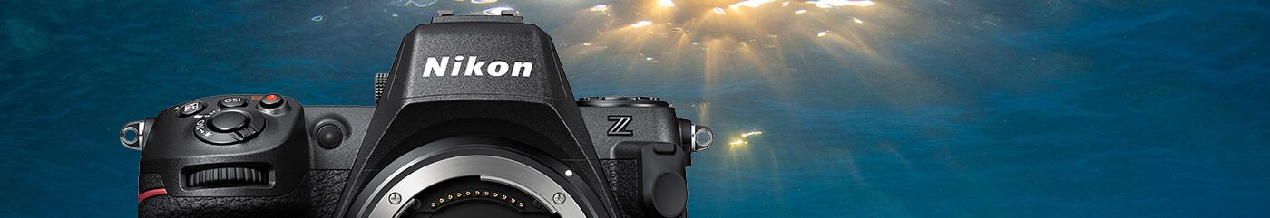 Nikon Z 8 Underwater Camera Review