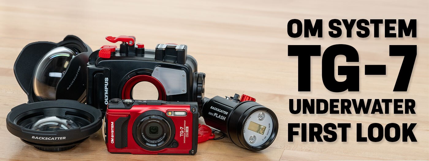 OM System TG-7 Underwater Camera Review
