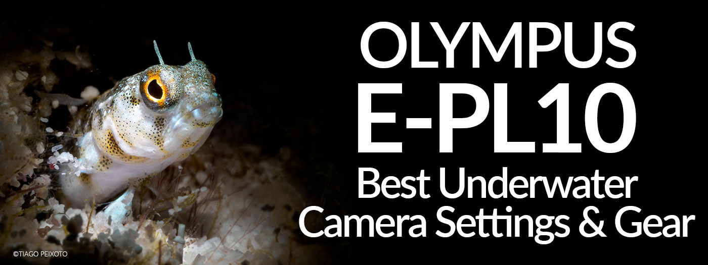 underwater camera settings