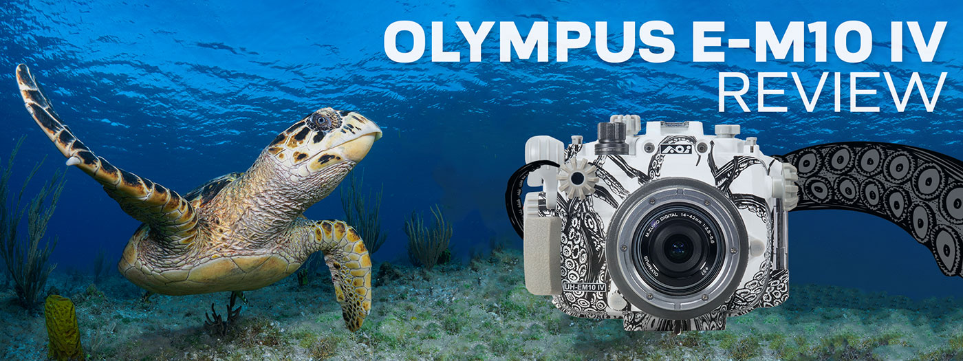 Olympus OM-D E-M10 IV Underwater Camera & Housing Review