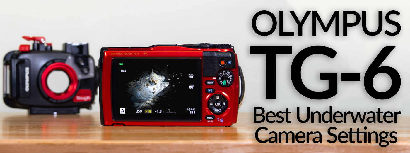 olympus tg 6 backscatter