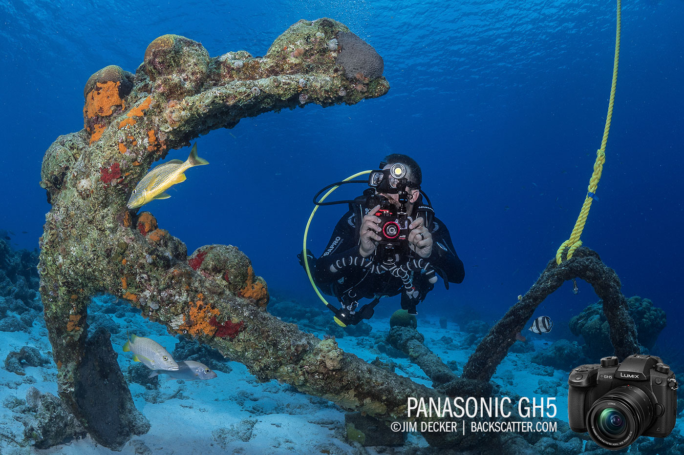 Panasonic GH5 Underwater Camera & Housing Review