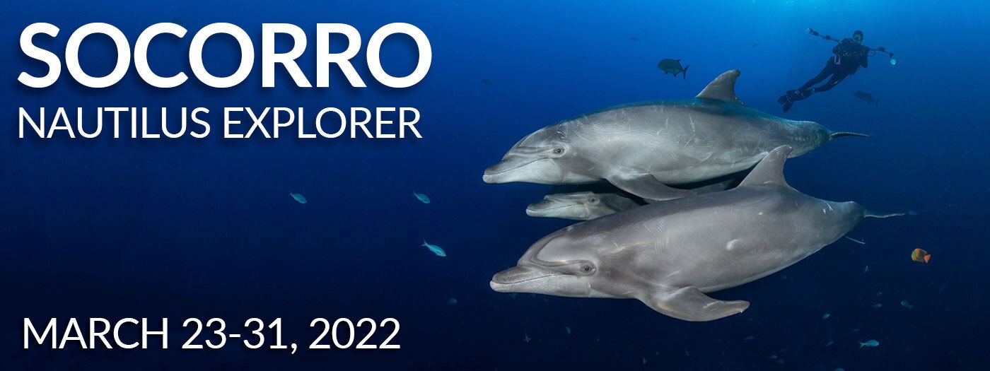 Socorro Islands, Mexico Nautilus Explorer March 2331, 2022