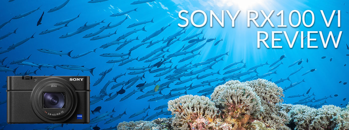 Sony RX100 VI Underwater Camera Review