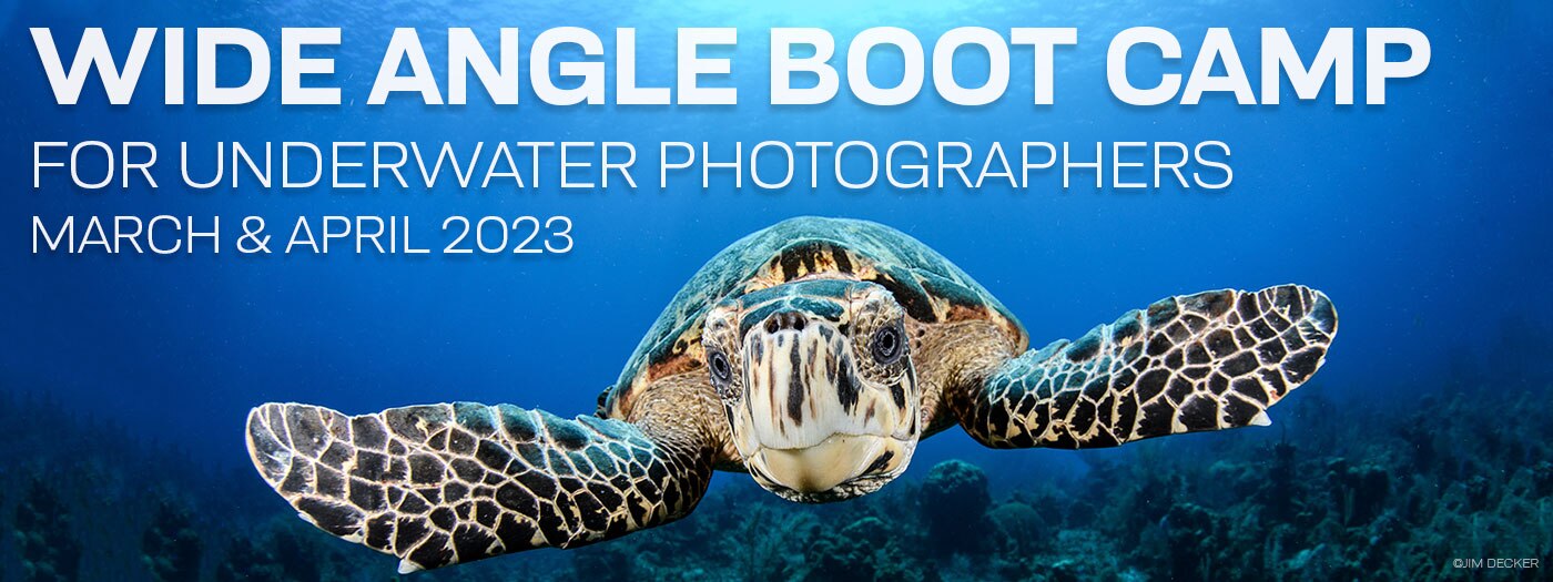 Wide Angle Underwater Photography Boot Camp - Little Cayman - March 18-25 & March 25-April 1, 2023