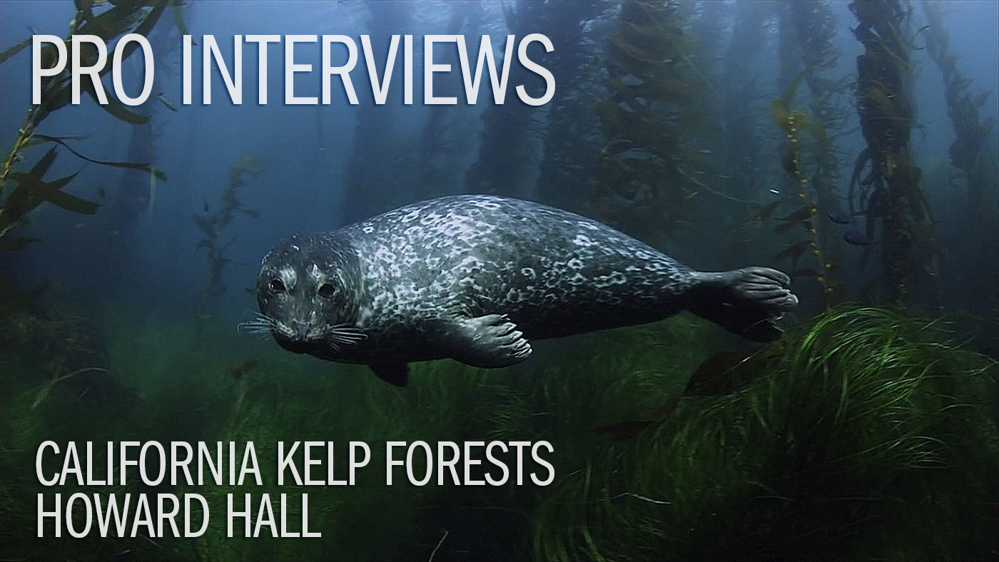 California Kelp Forests with Howard Hall