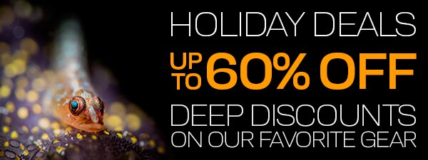 HOLIDAY DEALS - OUR BEST PHOTOGRAPHY DEALS OF THE YEAR