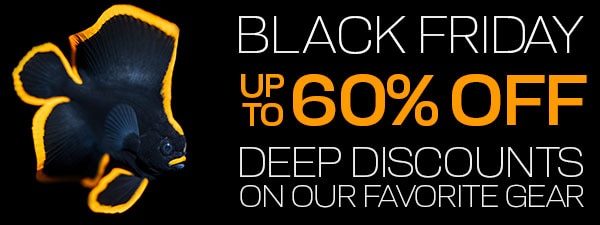 SMOKING HOT HOLIDAY DEALS 